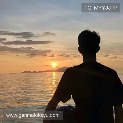 甄辰玮